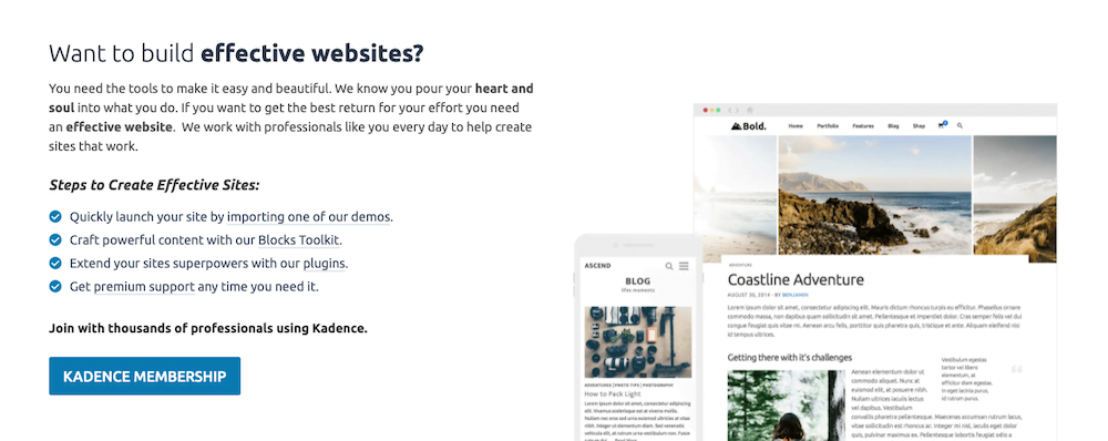 Kadence Website Homepage