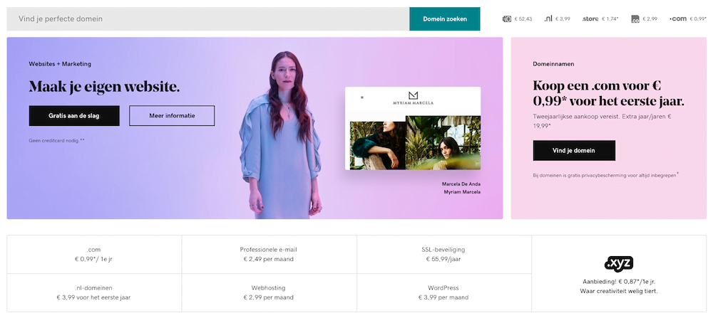 GoDaddy homepage