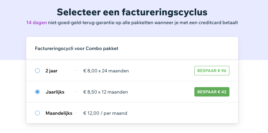 Paying for Wix Package