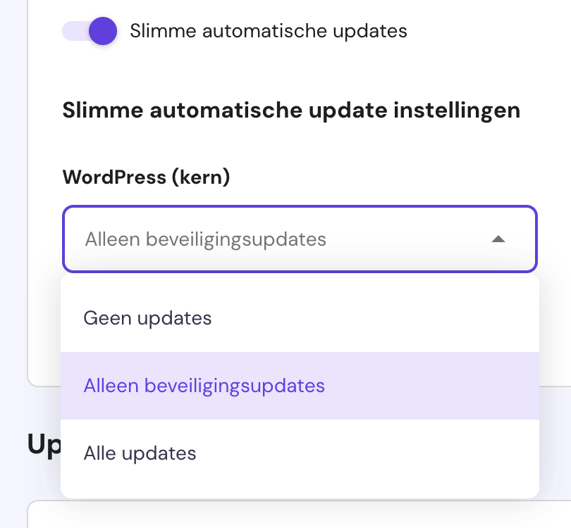 Hostinger automatic updates.